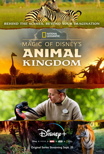 Смотреть Magic of Disney's Animal Kingdom (2020) онлайн в Хдрезка качестве 720p