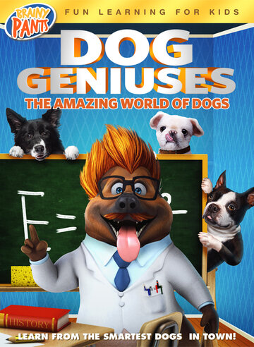 Смотреть Собаки-гении (2019) онлайн в HD качестве 720p