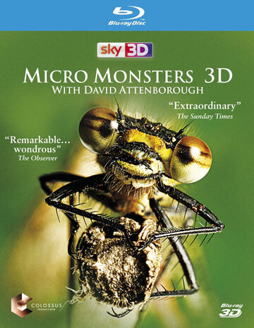 Смотреть Микромонстры 3D с Дэвидом Аттенборо (2013) онлайн в Хдрезка качестве 720p