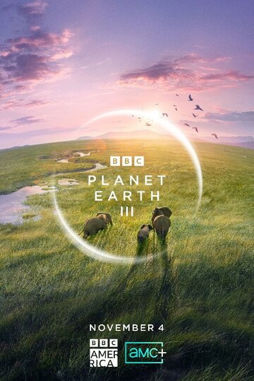 Смотреть BBC: Планета Земля III (2023) онлайн в Хдрезка качестве 720p
