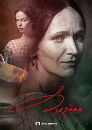 Смотреть Bozena (2021) онлайн в Хдрезка качестве 720p