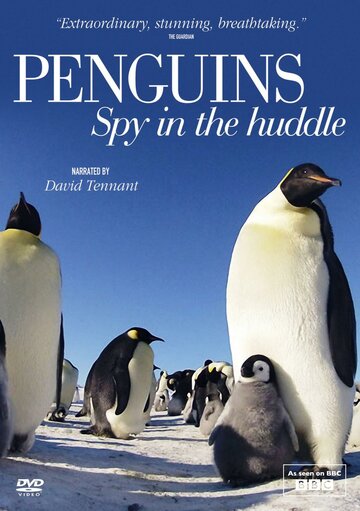 Смотреть Пингвины: Шпион в толпе (2013) онлайн в Хдрезка качестве 720p